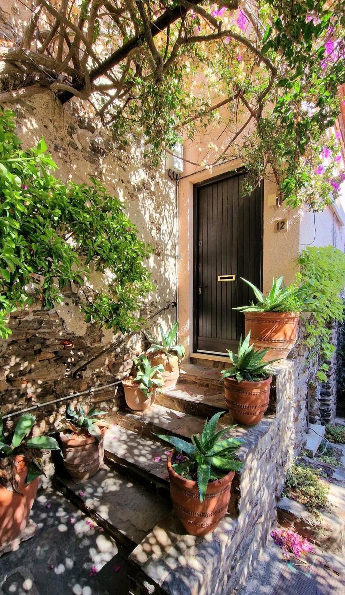 6Alz8 Appartement Pour 6 Personnes Collioure Extérieur photo